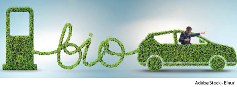 Biokraftstoffe