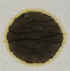 Motoröl | Audi Q7 3.0 l TDI