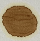 Motoröl | Jaguar XJ 3.0 l