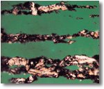 Analytische Ferrographie Analytische Ferrographie